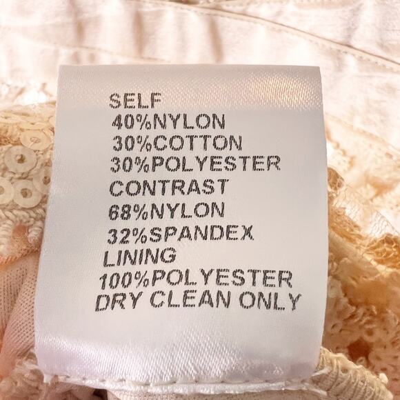 Tadashi Shoji Embroidered Lace Banded Waist Blush Primrose Dress 6 - Picture 8 of 10